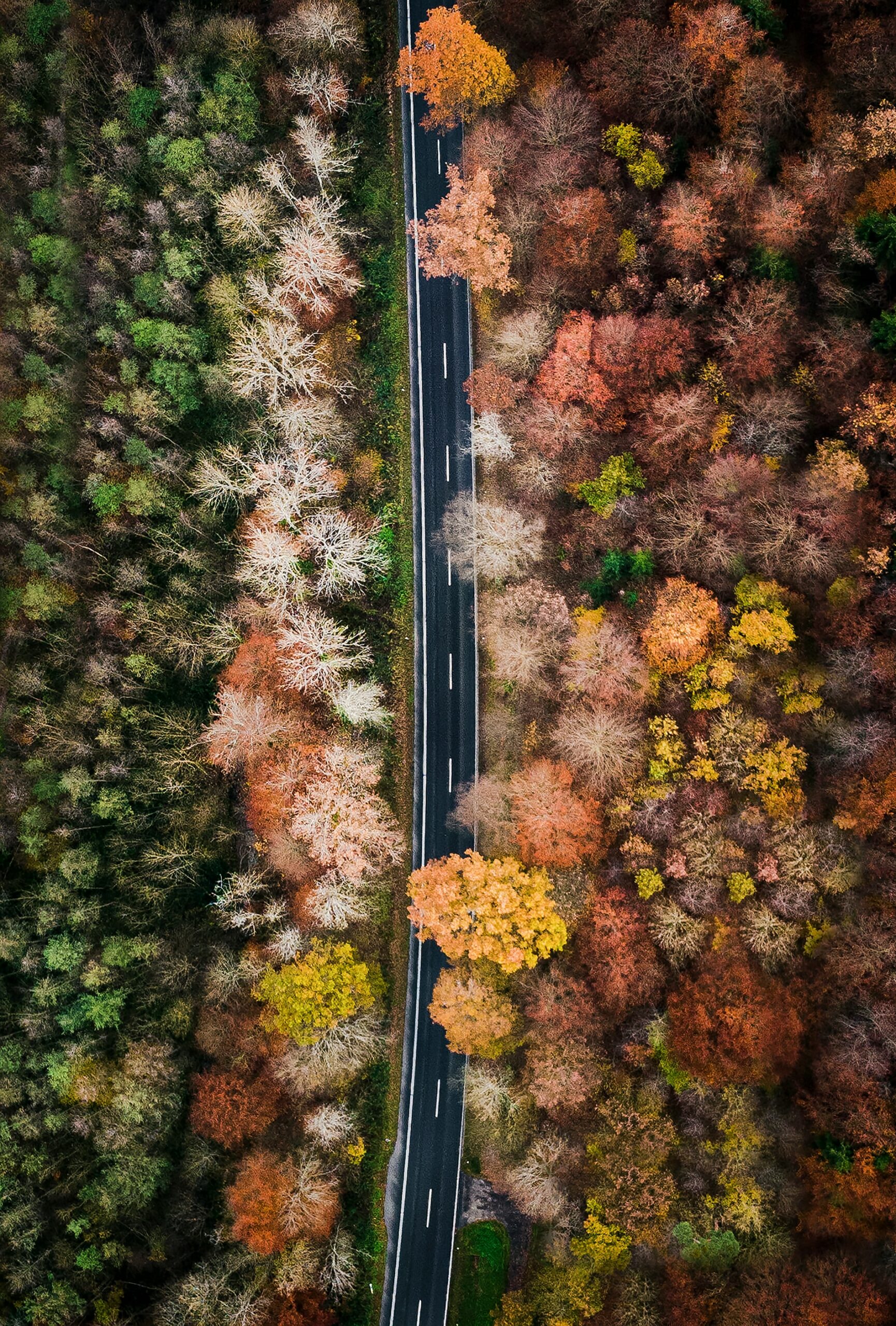 View of the road above with trees