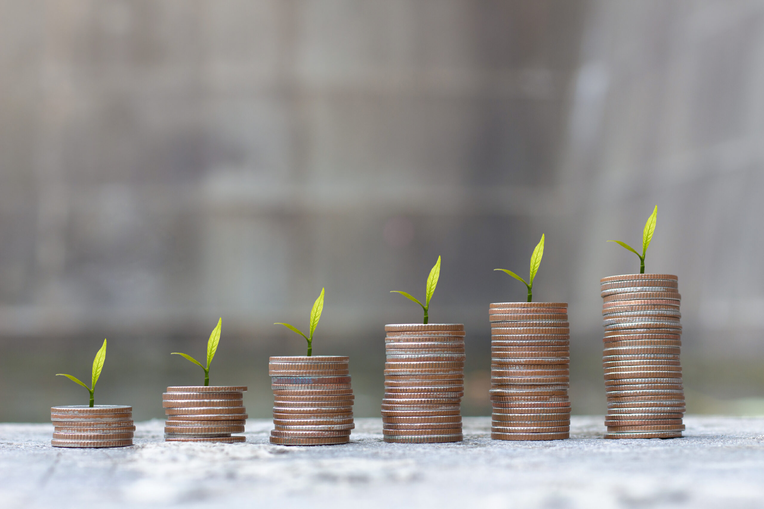 stacks of coins with little plants growing out the top