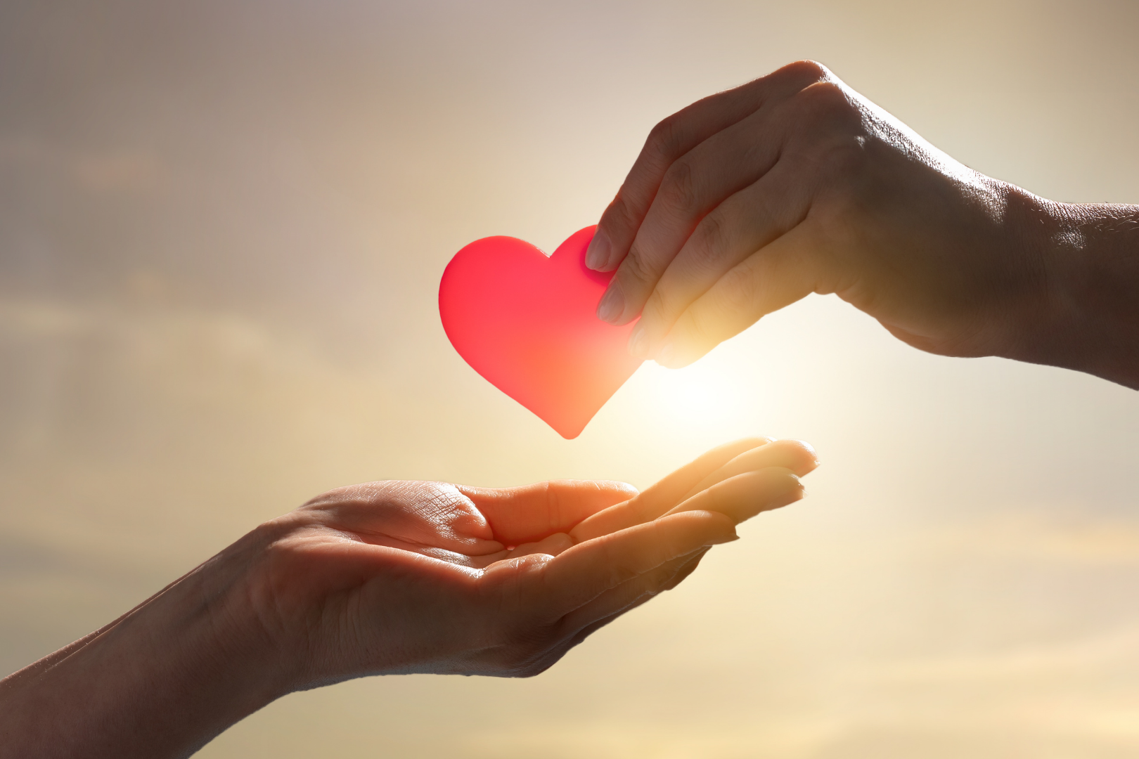 person handing another person a red heart