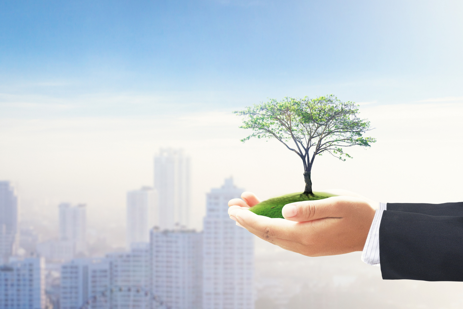 man holding tree in front of faded city skyline