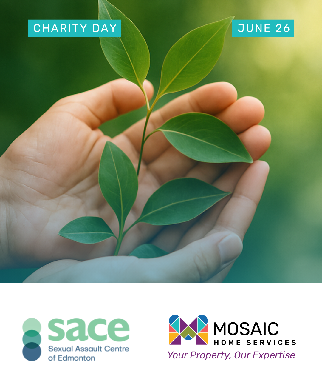 Supporting Survivors and Building Safer Communities: Charity Day June 2025 with SACE